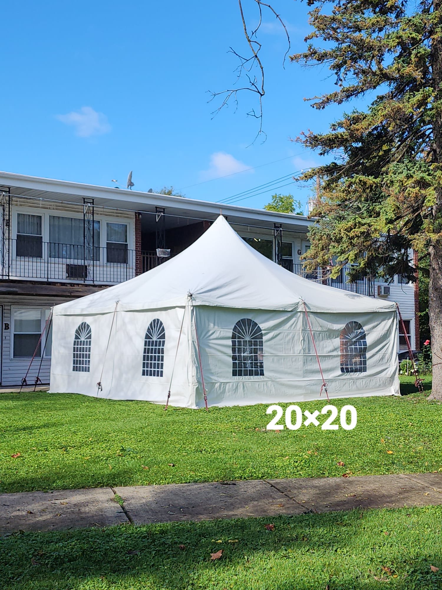 Carpa 5